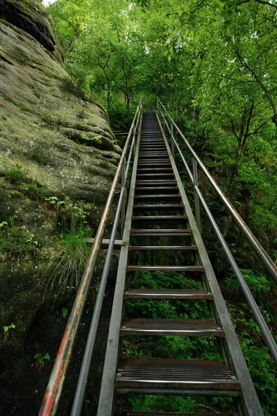 Tall ladder on the tourist route — Stock Photo, Image