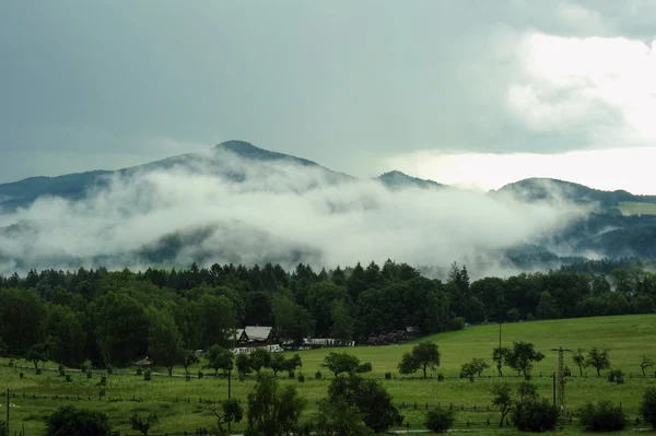 Landschaft im Nebel — Stockfoto