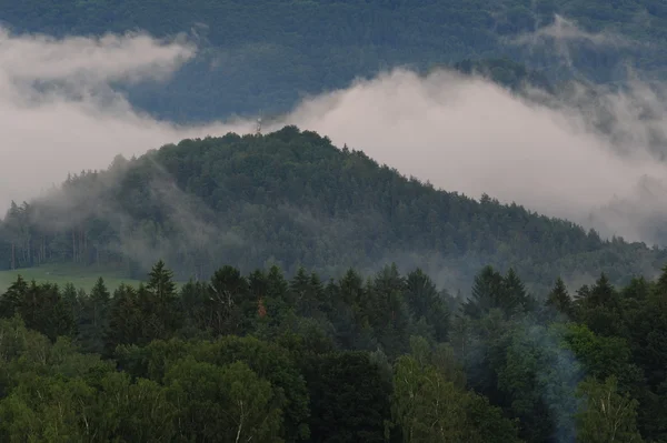 Landschaft im Nebel — Stockfoto