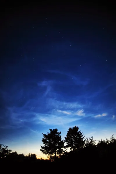 Cielo nocturno — Foto de Stock