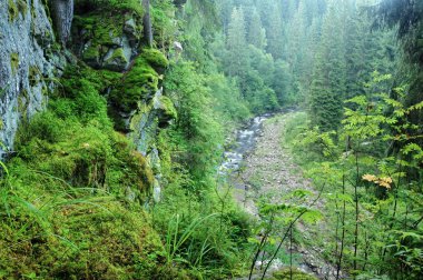 blanice Nehri Bohemya'da