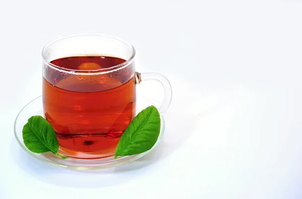 Cup of tea — Stock Photo, Image