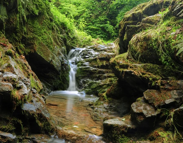 Jaře creek — Stock fotografie