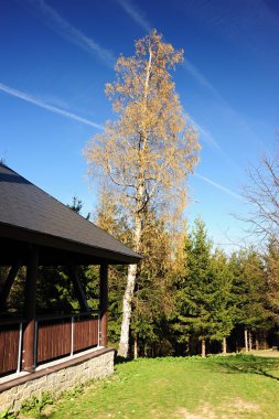 Ağaç ve ahşap kulübe