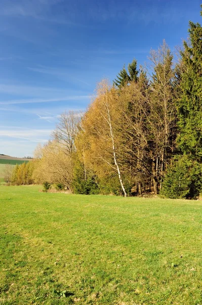 Hermoso paisaje de primavera —  Fotos de Stock