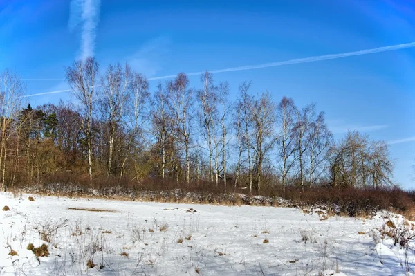 Winter landscape — Stock Photo, Image