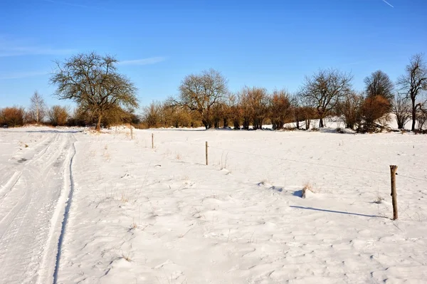 Winter landscape — Stock Photo, Image