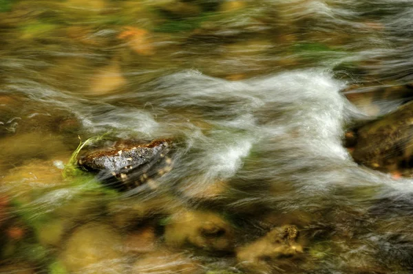 Olas en el río —  Fotos de Stock