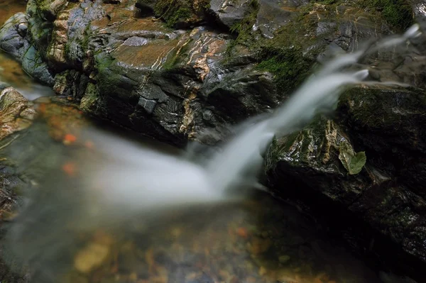 Spring creek — Stock Photo, Image