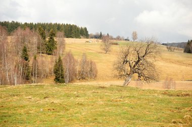 Sumava bahar peyzaj