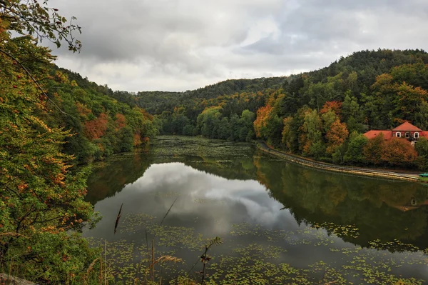 Autumn - colored lake — Stock Photo, Image