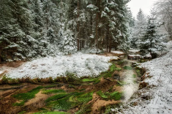 Een rivier stroomt winter wonderland — Stockfoto