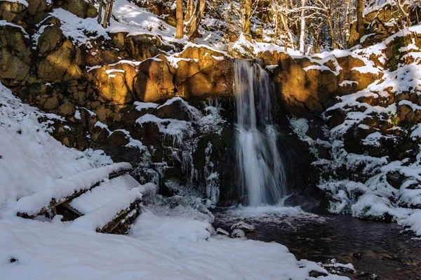 Cachoeira de inverno na floresta — Fotografia de Stock