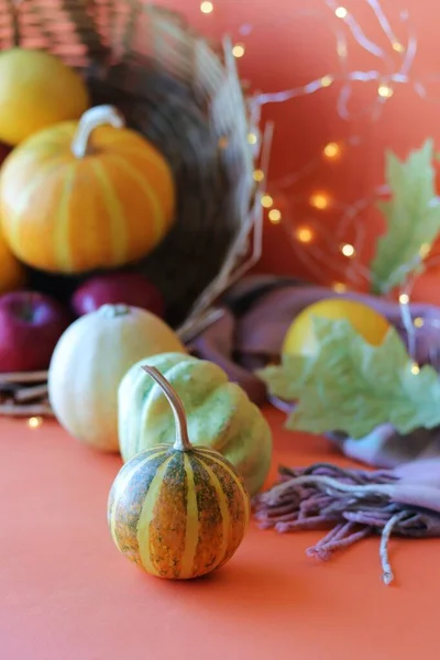 Erntedank Kürbisse Äpfel Blätter Warmes Karo Auf Orangefarbenem Hintergrund Beleuchtung — Stockfoto