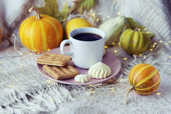 コーヒーカップ メレンゲ カボチャ 暖かい毛布 家庭の快適さの概念 リラクゼーション 感謝祭 秋のシーズン — ストック写真
