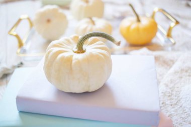 Küçük balkabaklarıyla, kitaplarıyla ve pastel renkli altın tepsisiyle sıcacık bir düşüş. Sonbahar durgun yaşamı: kabaklar, yapraklar ve kırsal bir yüzeyde kitaplar, üst görünüm.