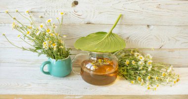 Kırsal bir arka planda turkuaz bir kupada taze papatya çiçeği. Bir buket tıbbi papatya çayı..