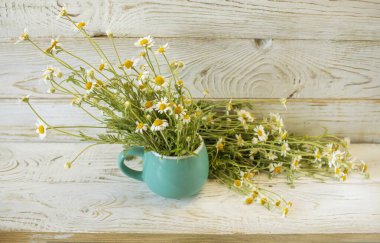 Kırsal bir arka planda turkuaz bir kupada taze papatya çiçeği. Bir buket tıbbi papatya çayı..