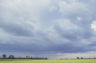 Geniş yeşil çayır, bulutlu gökyüzünün altında uzak ağaçlar, ilkbahar manzarası