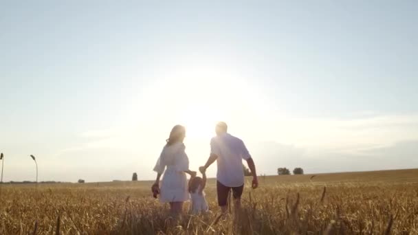 Familia feliz va en el campo tomados de la mano, jugar divertido juego de amor juntos al aire libre — Vídeo de stock