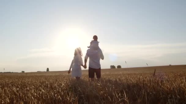 Amical famille heureuse aller dans le champ ensemble, marche insouciante, amour se détendre dans la nature — Video