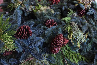 Yeşil dallarda çam kozalakları. Noel ağacı dallarından yapılmış çelenklerin üzerindeki çam kozalakları. Noel oyuncakları.