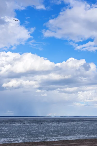 Céu acima do lago na primavera e gaivota — Fotografia de Stock