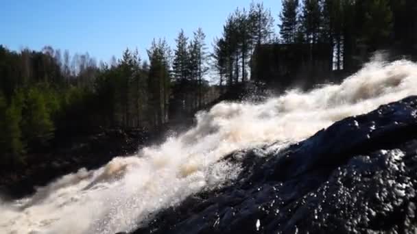 Chute d'eau de la forêt incliner vers le haut et vers le bas 
