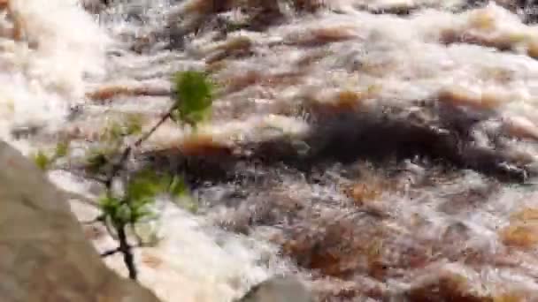 Río arroyo panorama — Vídeos de Stock