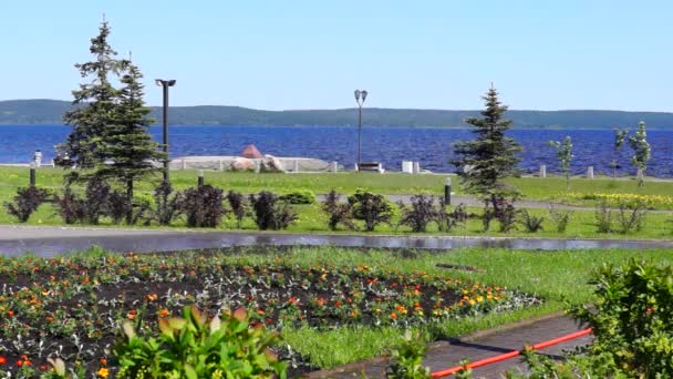 Automatische Bewässerung des Blumenbeetes an der Küste — Stockvideo