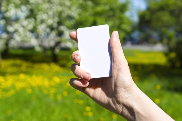 Hand shows clear card — Stock Photo, Image