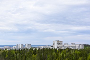 Çam ormanı cityscape