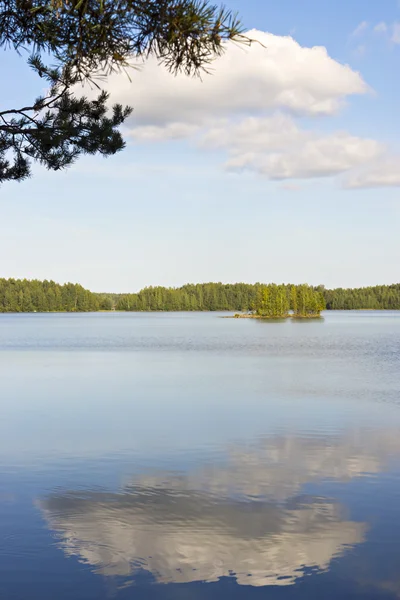 Idilli függőleges lakescape — Stock Fotó