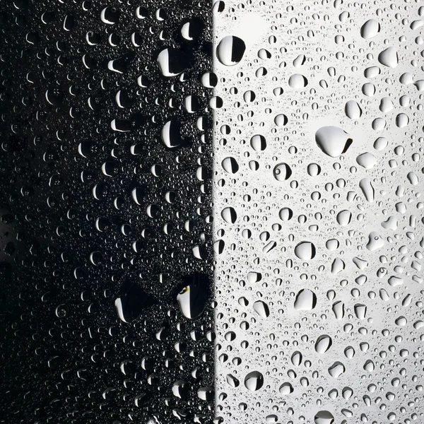 Water drops black and white background — Stock Photo, Image