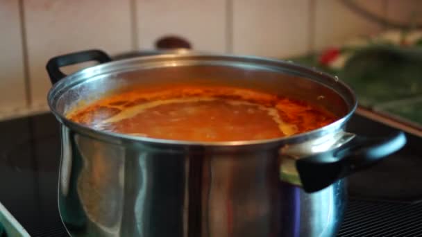 Suppe auf Herd kochen — Stockvideo