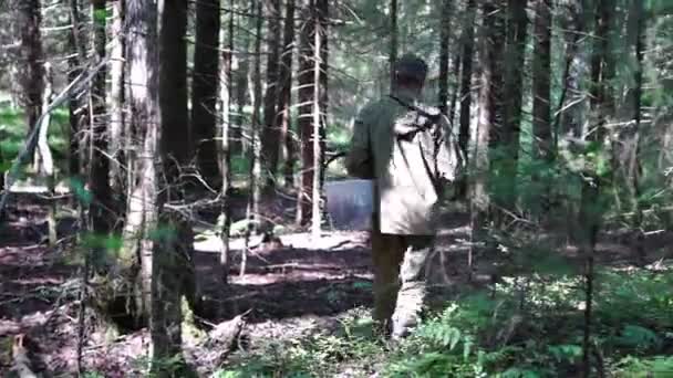 Mushroomer en forêt le matin — Video