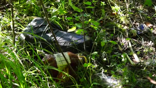 Poubelles dans la forêt sauvage — Video