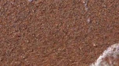 Deniz sörf, kumlu plaj, Karadeniz