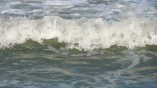 Coastal Black sea waves — Stock Video