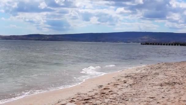 クリミア自治共和国の黄金のビーチ サーフィン — ストック動画