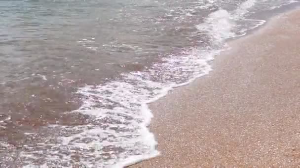 Surf playa de oro — Vídeos de Stock