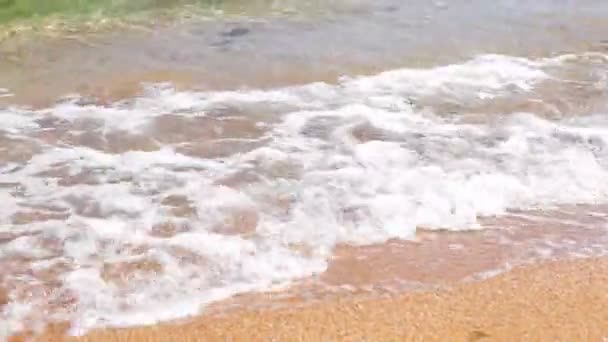 Jambes marcher sur le surf de mer — Video