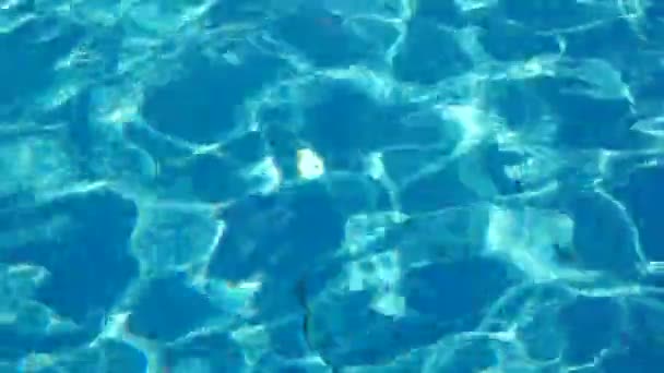 Fondo de agua de piscina — Vídeos de Stock