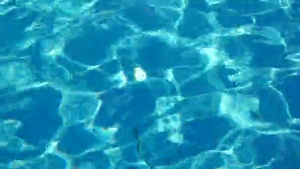 Piscina fondo acqua — Video Stock