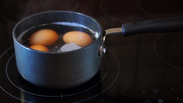 Los huevos están hirviendo en olla. — Vídeo de stock