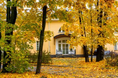 Sonbahar parkındaki eski malikanenin modern verandası.