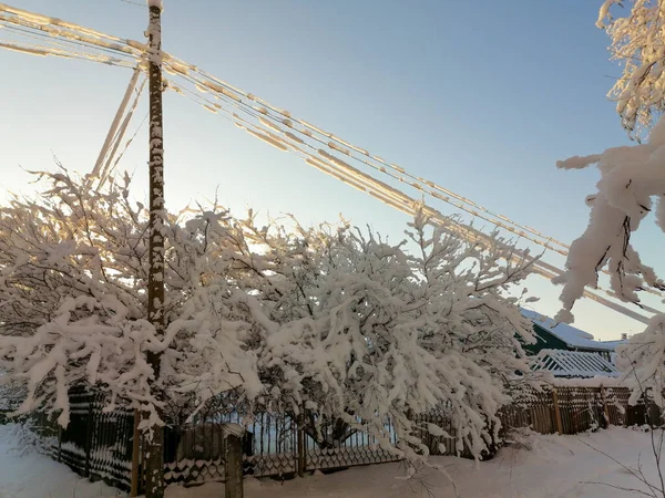 寒い冬の日には国のフェンス 茂みや屋根がふわふわの雪で覆われています — ストック写真