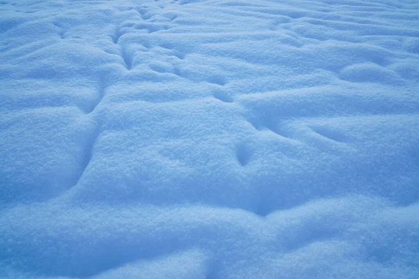 Snowdrifts Widocznymi Śladami Zwierząt Ludzi Zimie — Zdjęcie stockowe