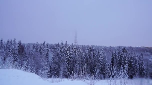 Forstørret Fjernsynstårnet Tåkete Skoglandskap Frossen Vinter – stockvideo