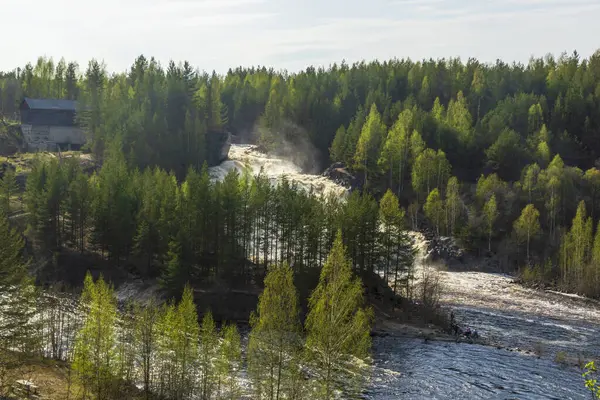 Vatten Skogen Vattenfall Floden Kraschar Klipporna Sommaren — Stockfoto